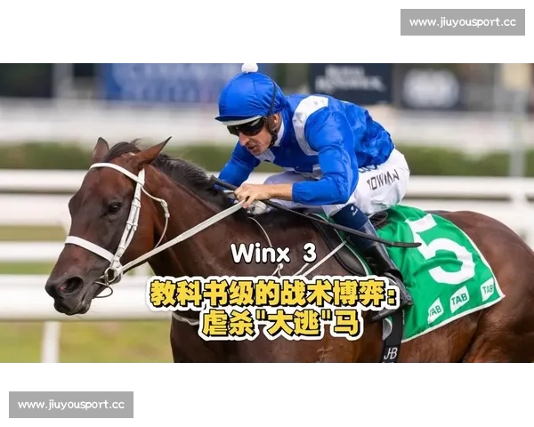 欧洲区预选赛：战术大师们的博弈，智慧与勇气的较量